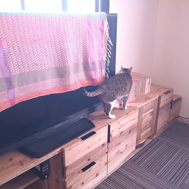 nanaさんの部屋
