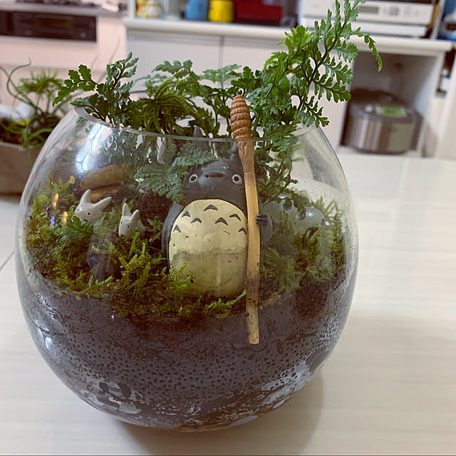 実例写真