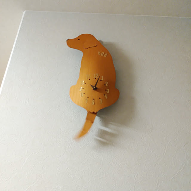 kikuさんの実例写真