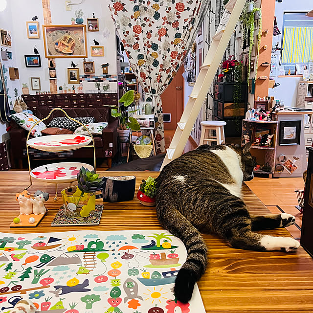jijiさんの部屋