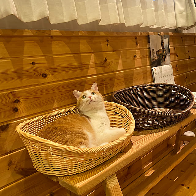 senbei.sakuramochiさんの実例写真