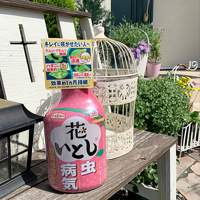 junjunさんの実例写真