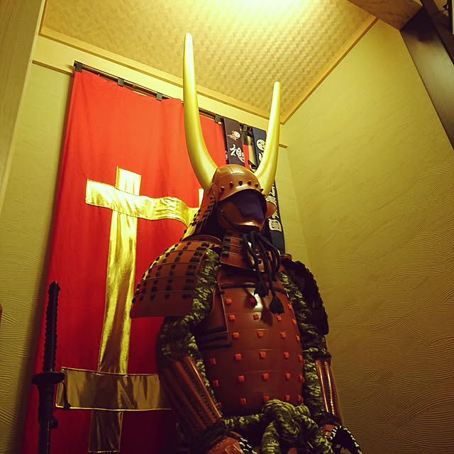 kidedekitayakataさんの実例写真