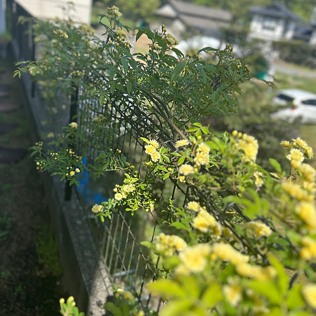 Fumiさんの部屋