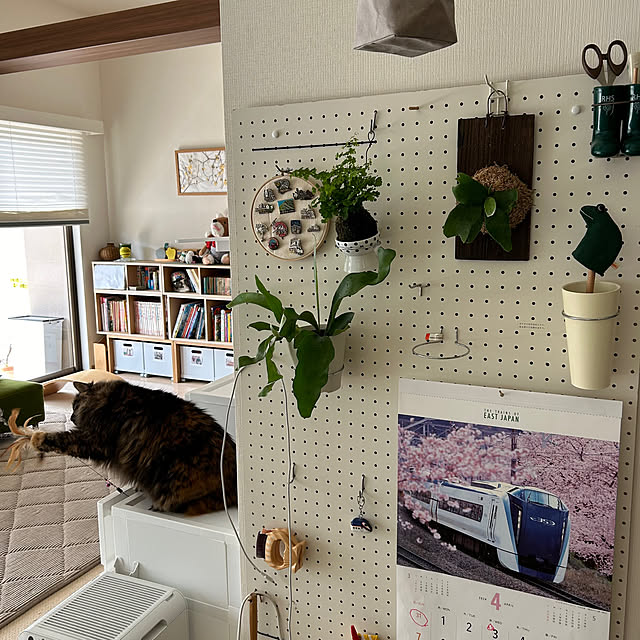 mikomaruさんの実例写真