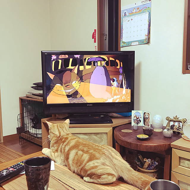 tornadeさんの実例写真