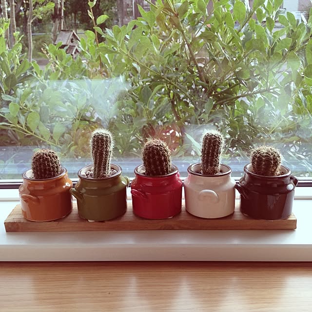 nasuhanaさんの実例写真