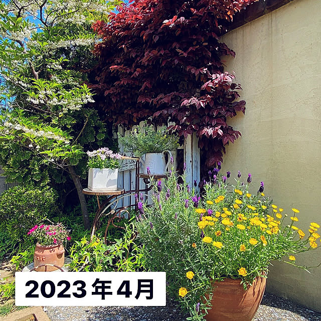 moolさんの部屋