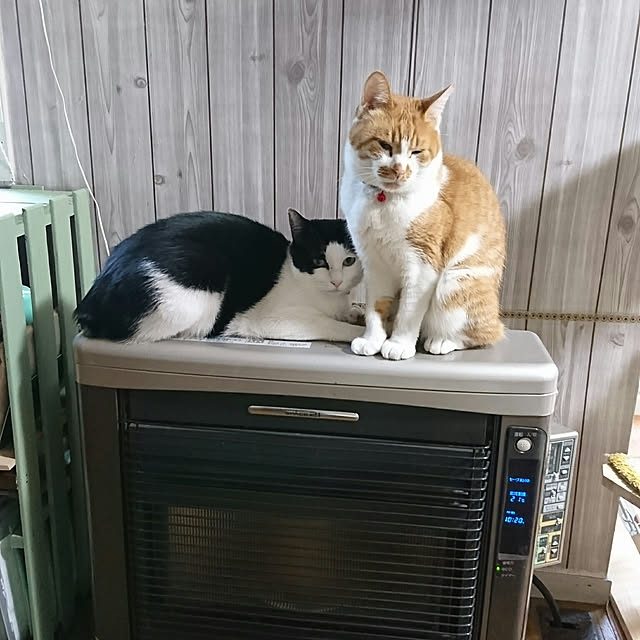 SHIHOさんの実例写真