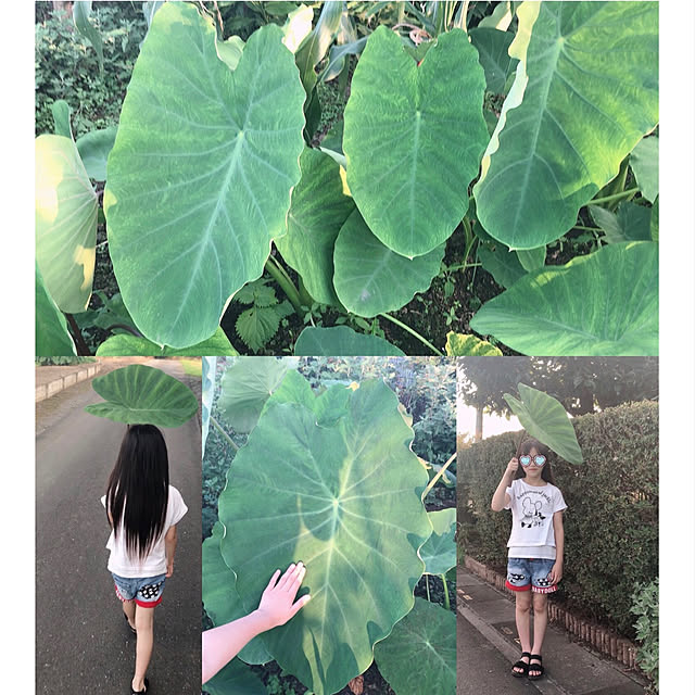 Ruiさんの実例写真