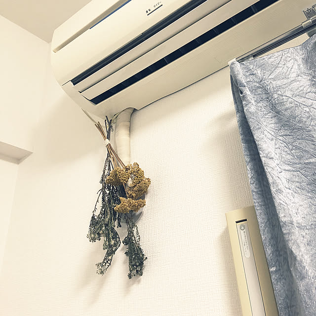 mopuuさんの実例写真