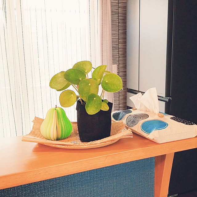 棚/ペペロミオイデス/みどりのある暮らし/お気に入り/植物...などのインテリア実例 - 2019-06-20 09:01:10