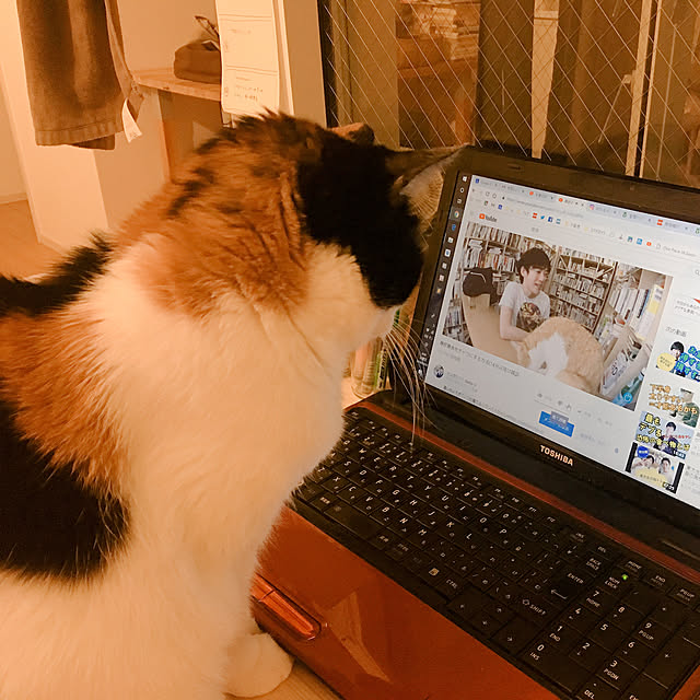 warashibeさんの実例写真