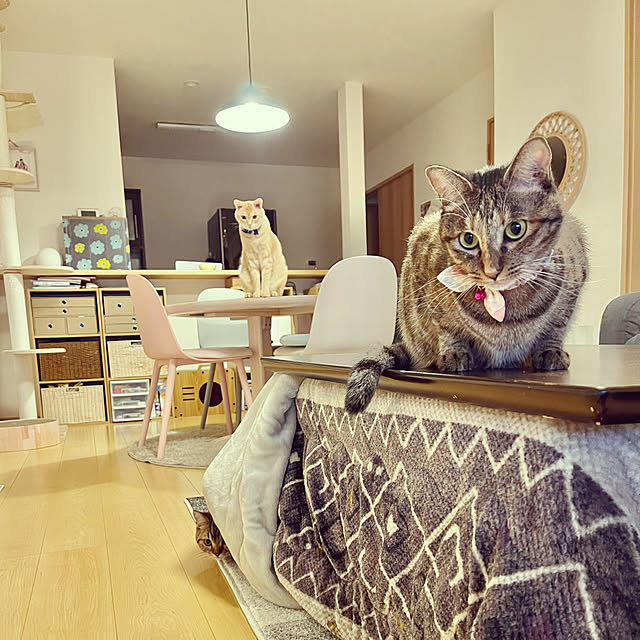 chiiさんの実例写真