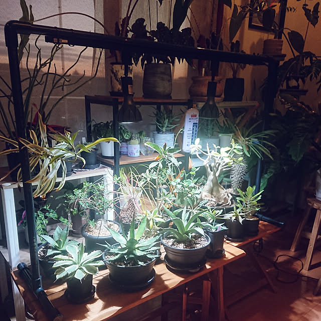 ot-gardenさんの実例写真