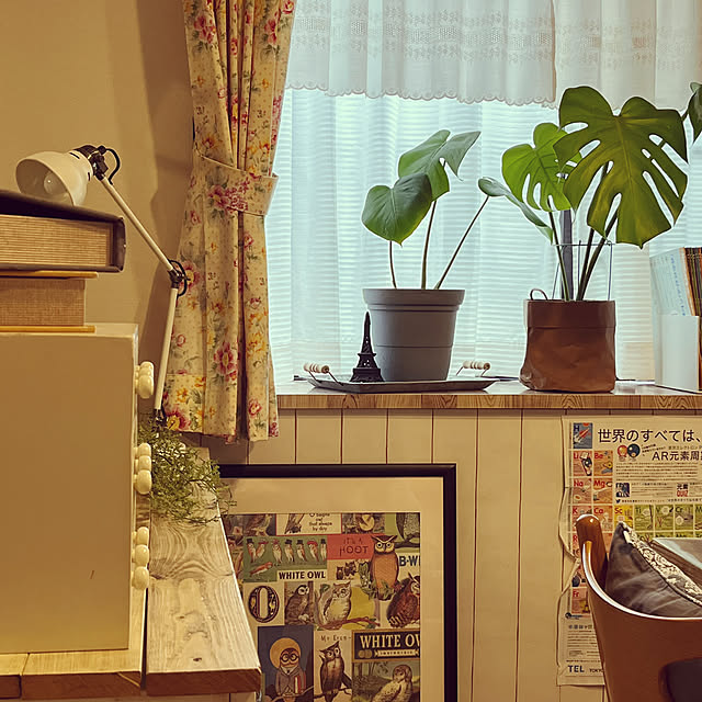 tomatoさんの部屋