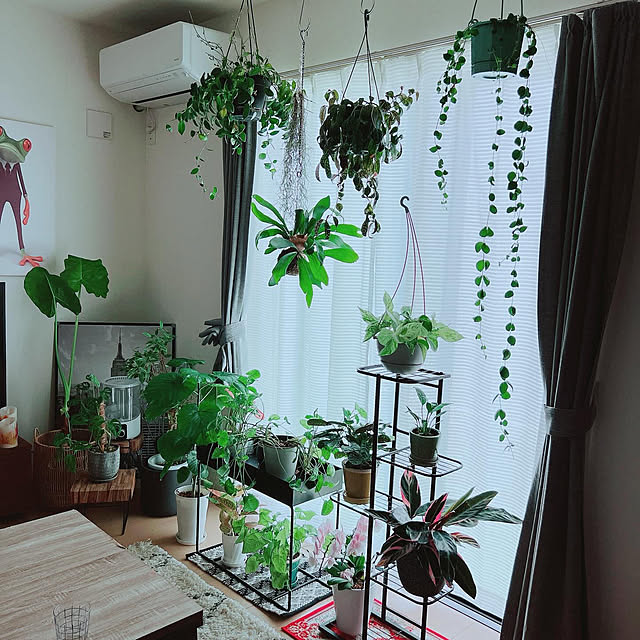 Nao56roomさんの実例写真