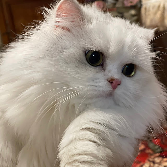 AYUKOさんの部屋