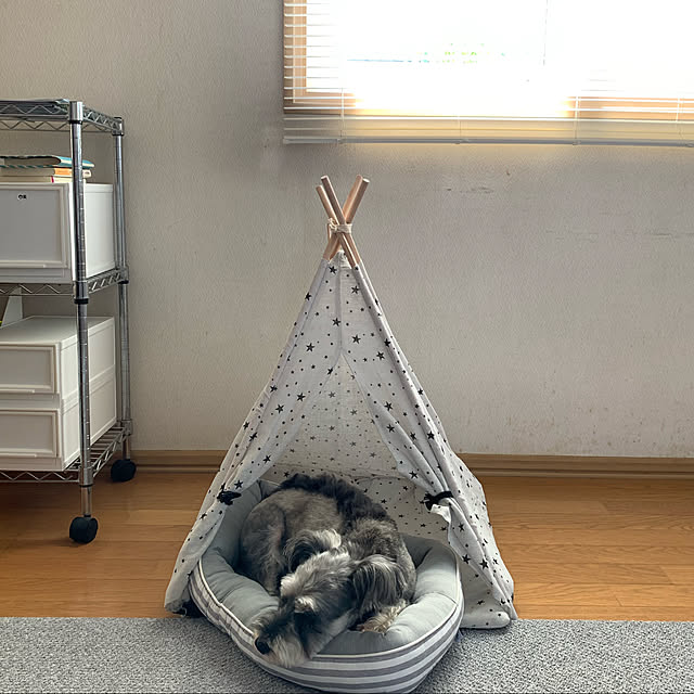 Mahoさんの実例写真