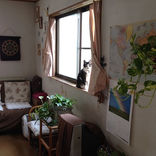kuro_clover2002さんの実例写真