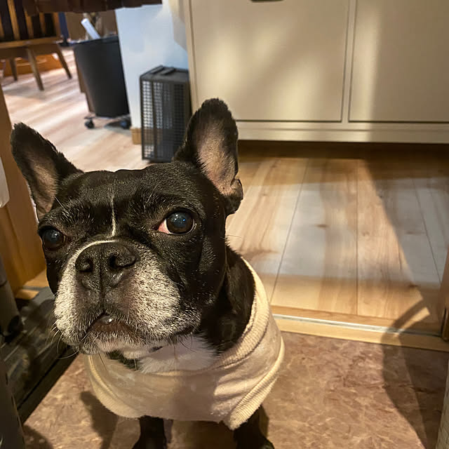 kotaroさんの実例写真