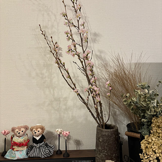 kyoryu2kidsさんの実例写真