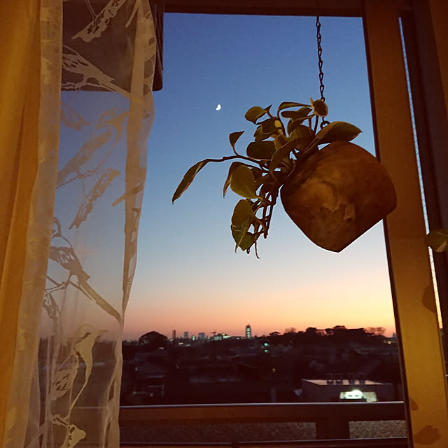 horohorotoriさんの実例写真