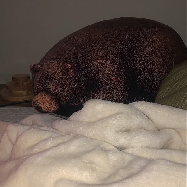 hikaruさんの実例写真