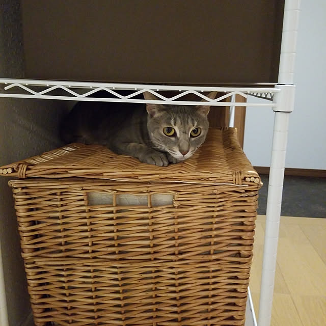 yukiさんの実例写真