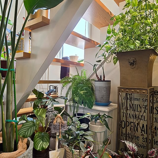 nonbiri_house_さんの部屋