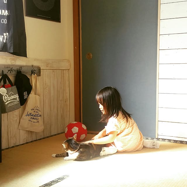 yuuさんの実例写真