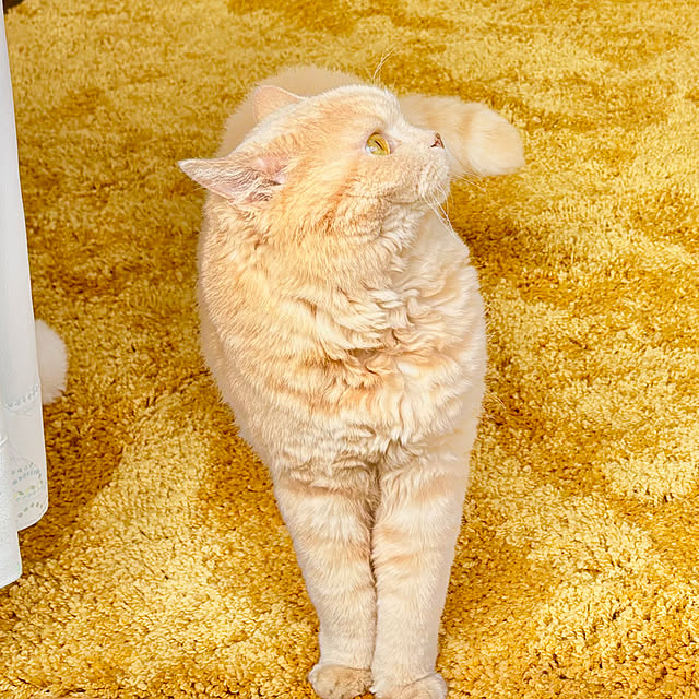 naokoさんの部屋