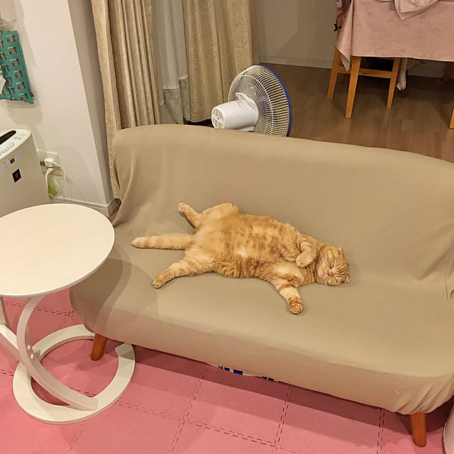 pinaminさんの実例写真