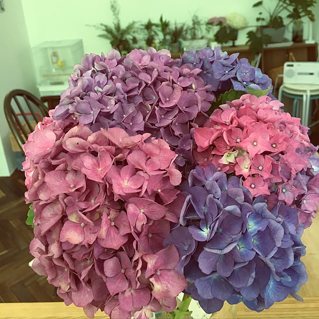 studio-bloomさんの実例写真