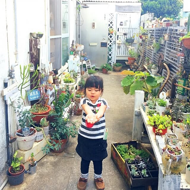coraruさんの実例写真
