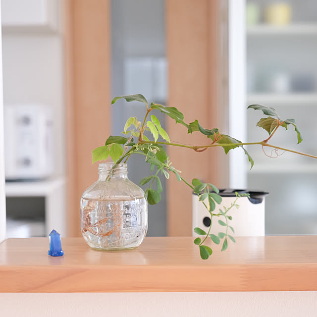 pyokopyokopさんの実例写真