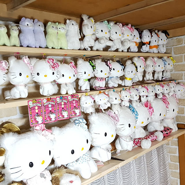 bellさんの実例写真