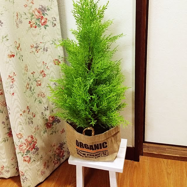 Junkoさんの実例写真