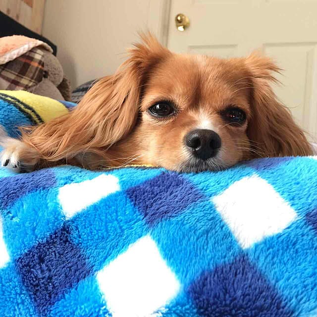 NATTUさんの実例写真