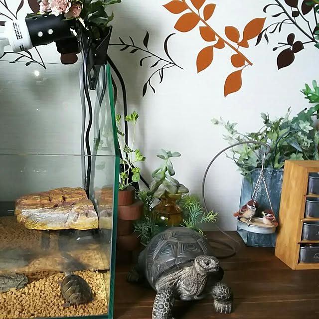 KOHAKUさんの実例写真