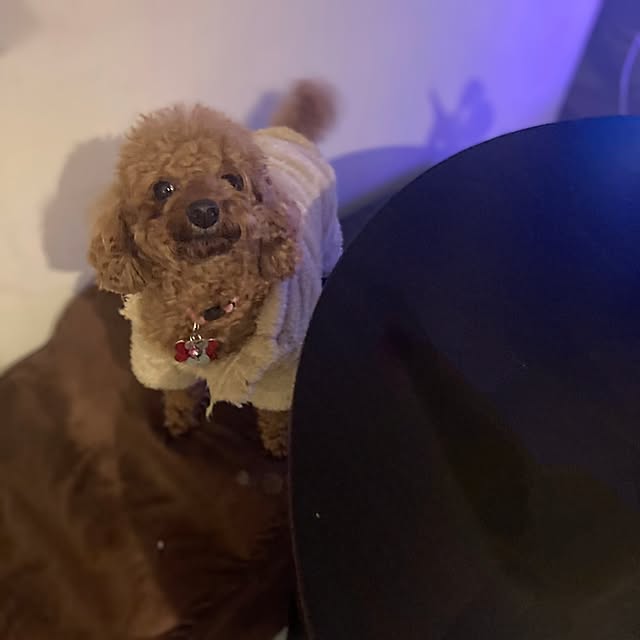 MOMOMAMAさんの部屋