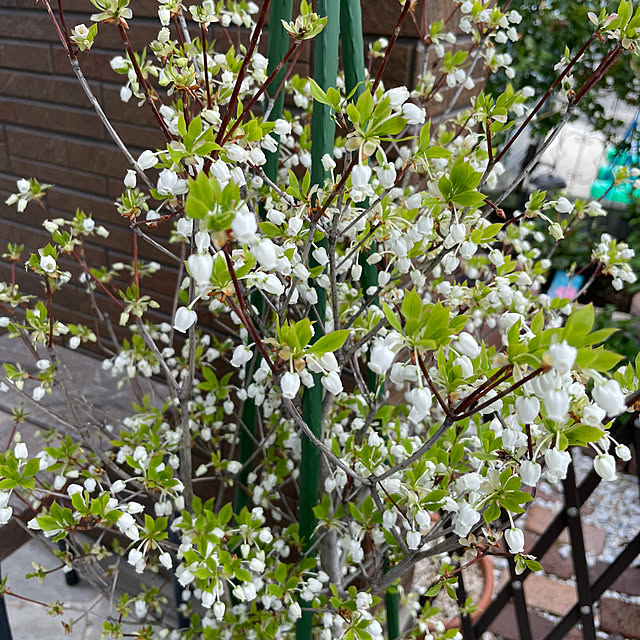 okachanさんの部屋