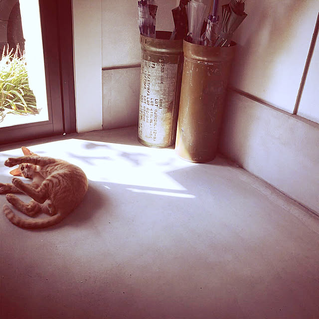 kiagochachaさんの実例写真