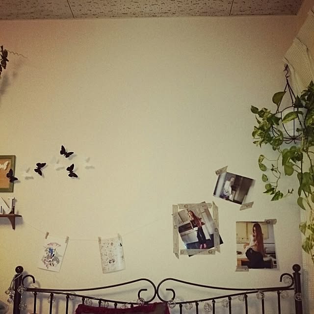 maru.010209さんの実例写真