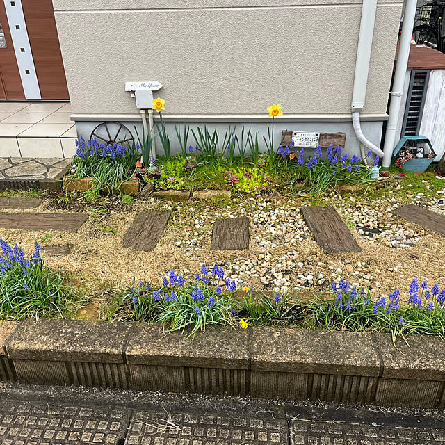 pekoさんの実例写真