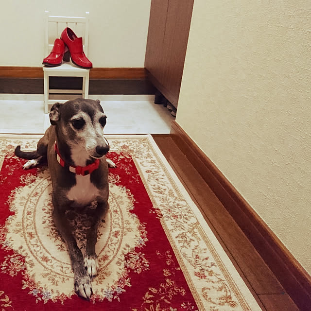 moruさんの実例写真