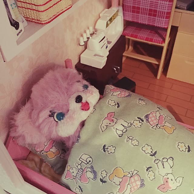 candy_Bonbonさんの実例写真