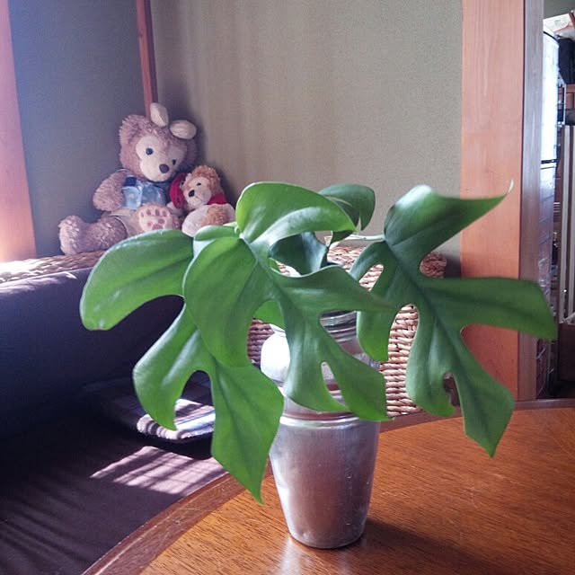 yuki.yukiさんの実例写真