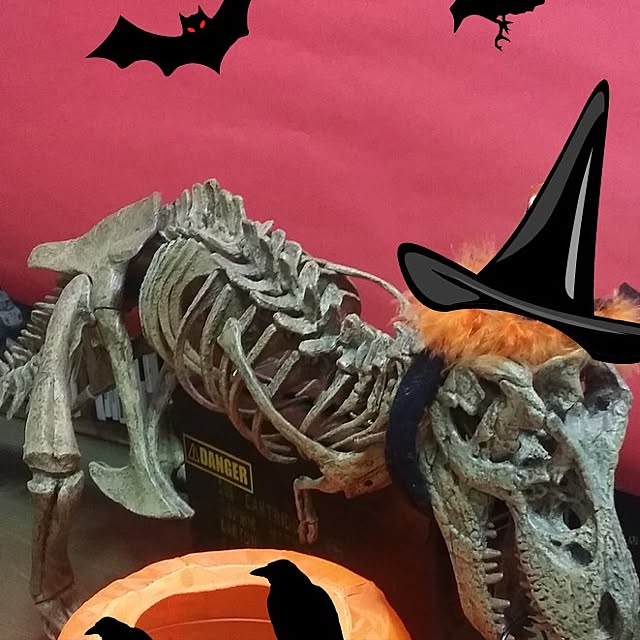 sakurahabitさんの実例写真