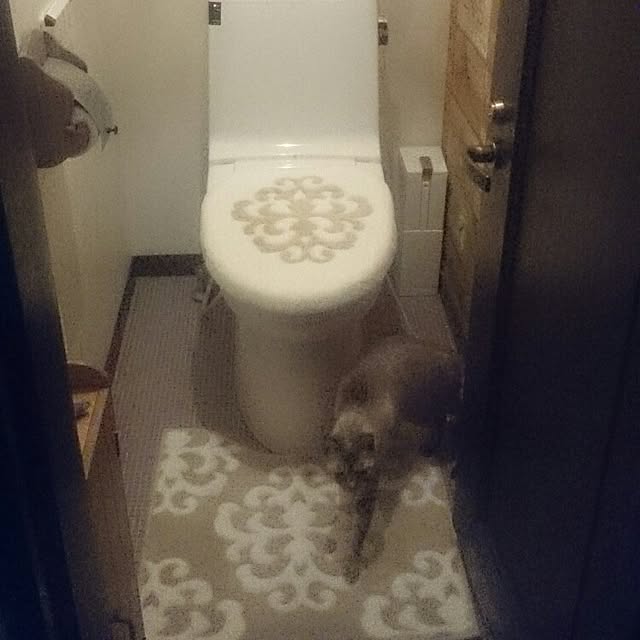 hoshiさんの実例写真
